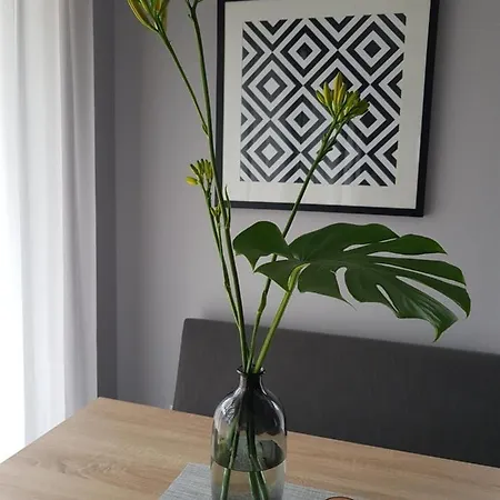 Lipova I Dedykowane Osobom Doroslym