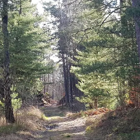 Сasa de vacaciones Lipova I Dedykowane Osobom Doroslym *