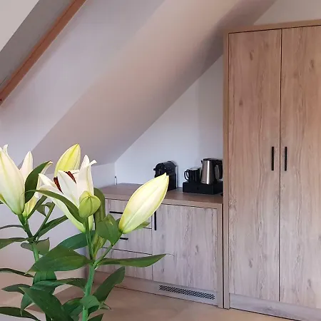 Lipova I Dedykowane Osobom Doroslym Ferienhaus *