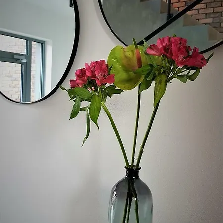 Lipova I Dedykowane Osobom Doroslym * Stegna (Pomerania)