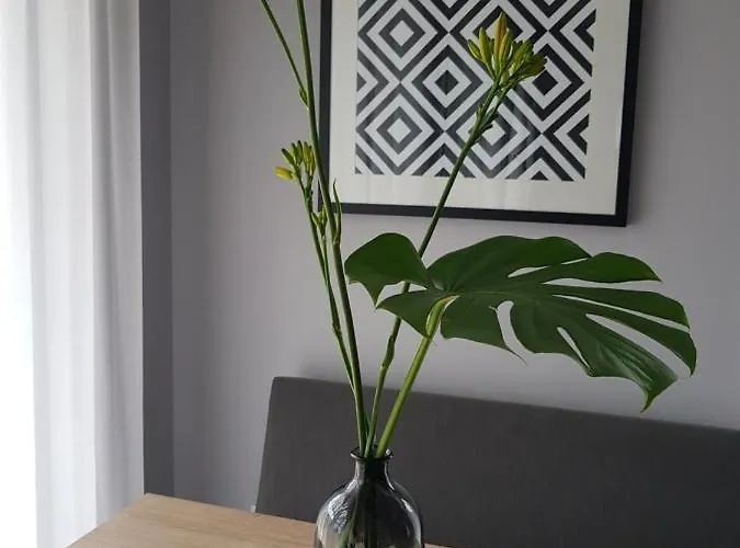 Lipova I Dedykowane Osobom Doroslym