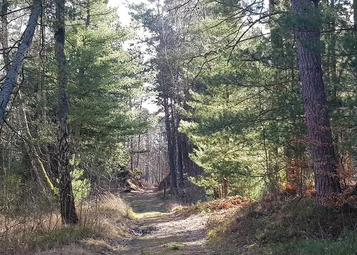 Σπίτι διακοπών Lipova I Dedykowane Osobom Doroslym *