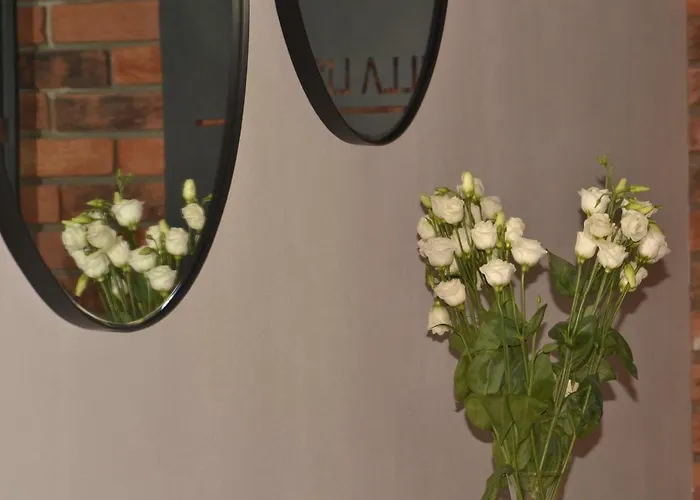 Lipova I Dedykowane Osobom Doroslym