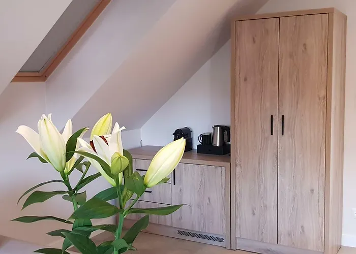 Lipova I Dedykowane Osobom Doroslym Σπίτι διακοπών *