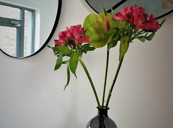 Lipova I Dedykowane Osobom Doroslym * Stegna (Pomerania)