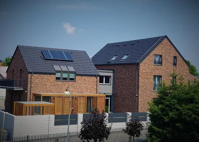 Lipova I Dedykowane Osobom Doroslym *